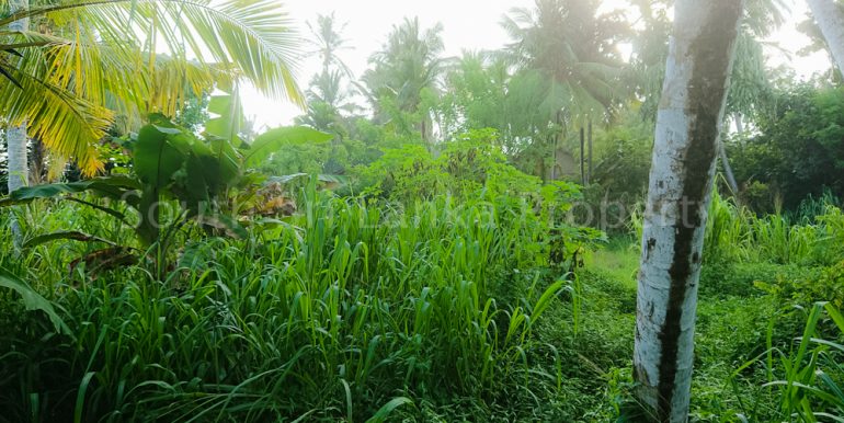 Perfect Beach Plot in Popular Welligama (1 of 5)