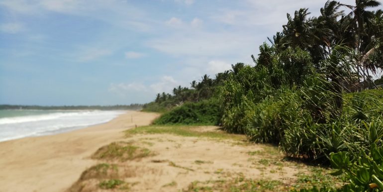 South Sri Lanka Property - Beach land in Rakawa-Tangalle