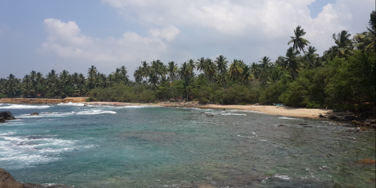 Excellent Beach Plot in Dickwella with Massive Frontage and Private beach
