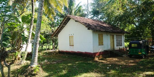 View to Green Paradise – Perfect Paddy Island