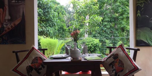Beautiful Jungle Villa for Quick sale – incredible value for money