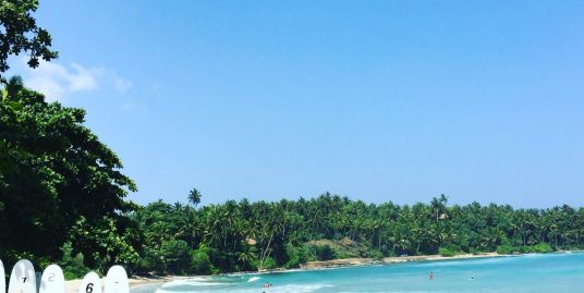 Bargain land in super popular Hiriketia