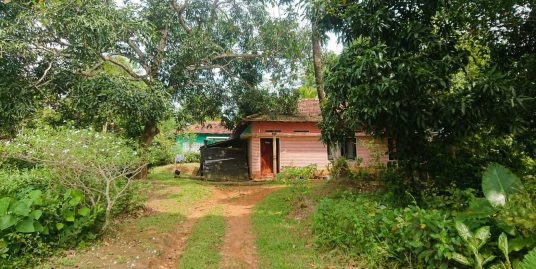 Cheap local house with paddy views