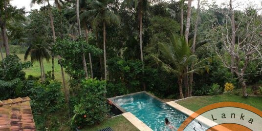 Superb Renovated Colonial Villa with Infinity Pool