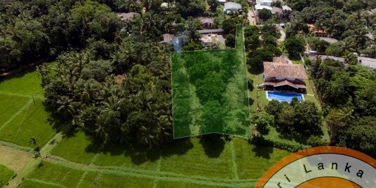 Property for sale in commercial area