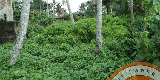 The Best  Plot on Kabalana Beach
