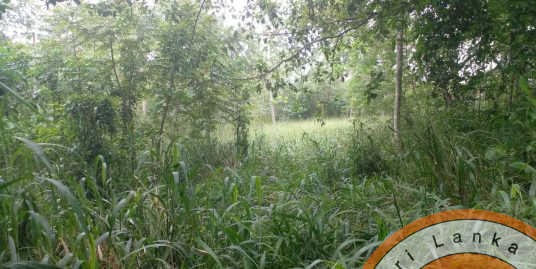 Very cheap plot in super location