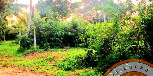 Cheap Excellent Land Close to Ahangama Beach