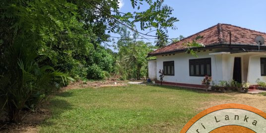 Solid Local House in Super Popular Location. Very Cheap.