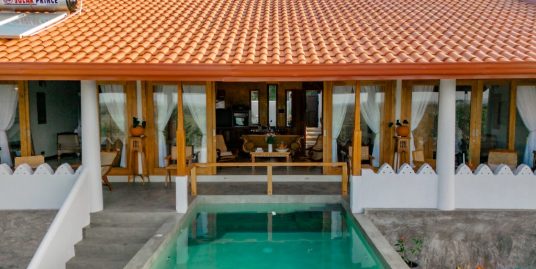 Luxury Villa with the View to Die For