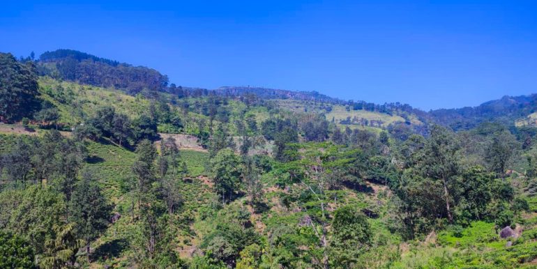 IMG-20250906-WA0006