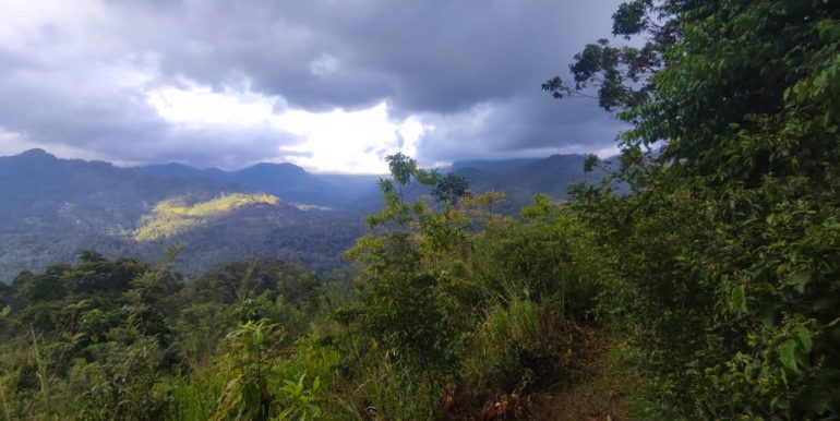 IMG-20250906-WA0007