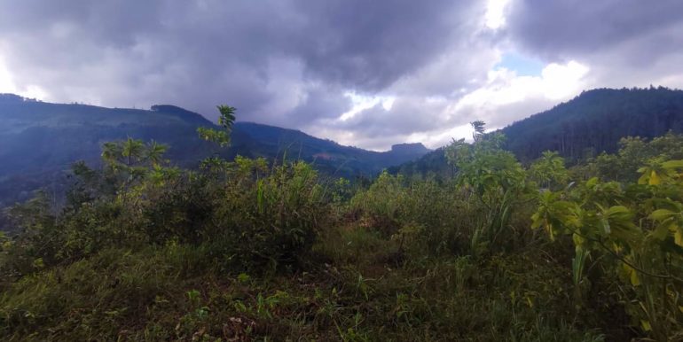 IMG-20250906-WA0011