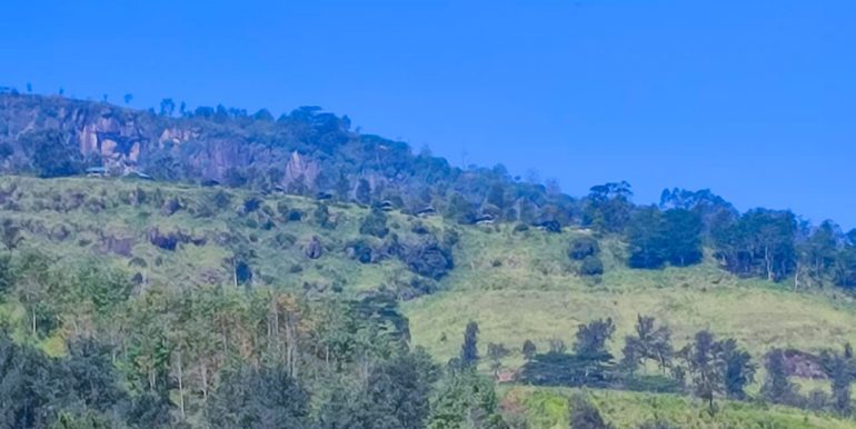 IMG-20250906-WA0016