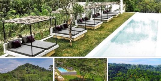 Tea Estate With Luxury Villa