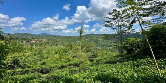 21-Acre Estate Bordering Sinharaja Rainforest — Deniyaya (Little Nuwara Eliya)