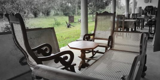 Large Plantation for sale