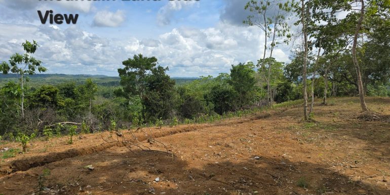 WhatsApp Image 2026-01-12 at 13.51.13 (1)