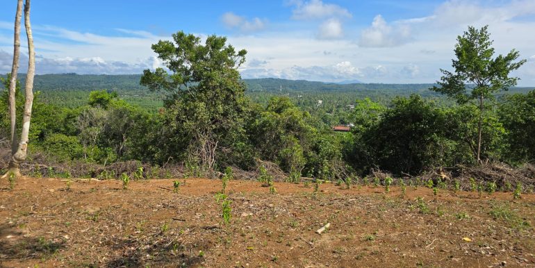 WhatsApp Image 2026-01-12 at 13.51.13