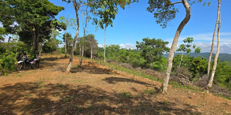 WhatsApp Image 2026-01-12 at 13.51.14 (1)