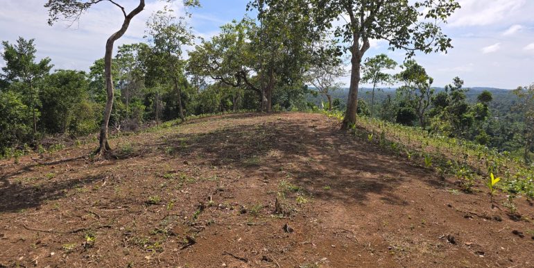 WhatsApp Image 2026-01-12 at 13.51.14