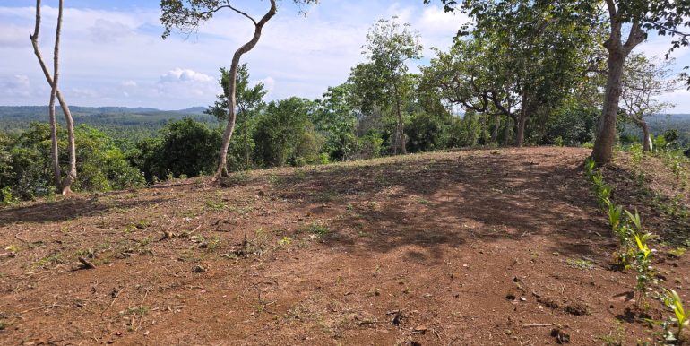 WhatsApp Image 2026-01-12 at 13.51.15