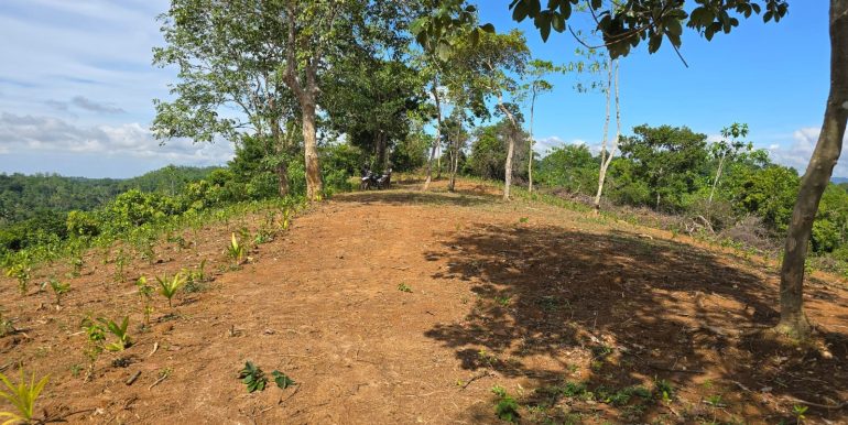 WhatsApp Image 2026-01-12 at 13.51.16 (1)