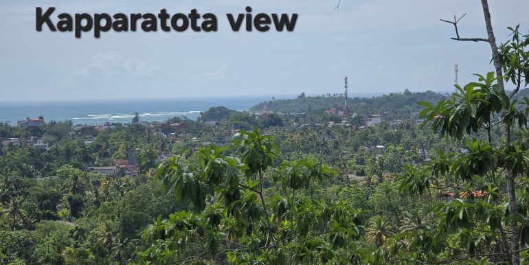 WhatsApp Image 2026-01-12 at 13.51.16