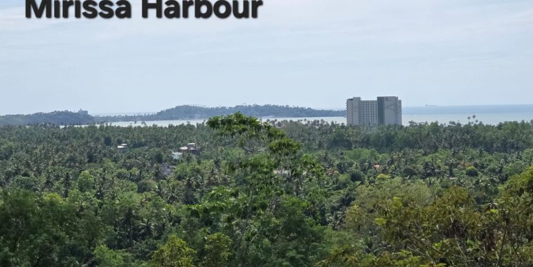 WhatsApp Image 2026-01-12 at 13.51.17 (1)