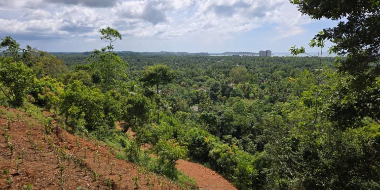 WhatsApp Image 2026-01-12 at 13.51.17