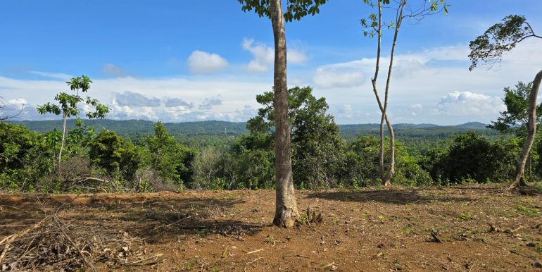 WhatsApp Image 2026-01-12 at 13.51.18 (1)