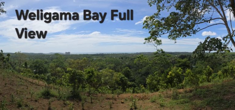 WhatsApp Image 2026-01-12 at 13.51.18