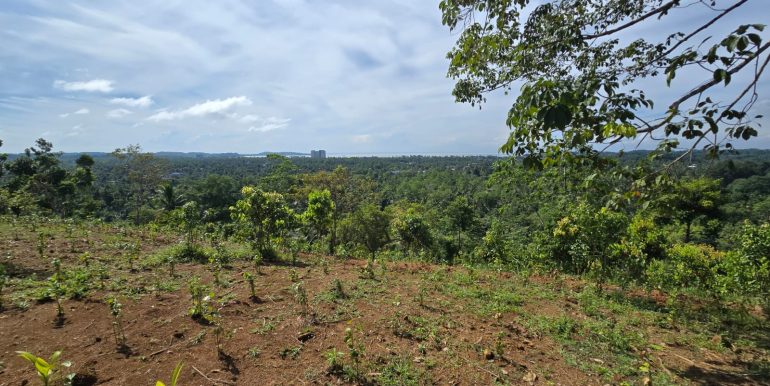 WhatsApp Image 2026-01-12 at 13.51.19 (1)