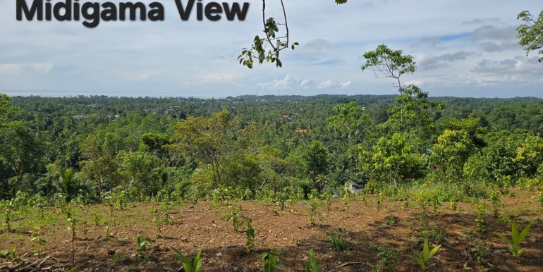 WhatsApp Image 2026-01-12 at 13.51.19 (2)