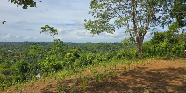 WhatsApp Image 2026-01-12 at 13.51.19