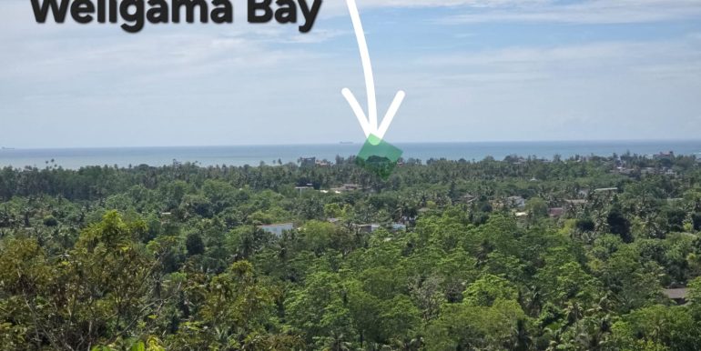 WhatsApp Image 2026-01-12 at 13.51.20 (1)