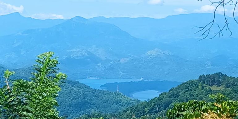 WhatsApp Image 2026-02-15 at 07.41.19