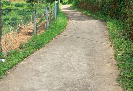 WhatsApp Image 2026-02-15 at 07.41.20 (2)