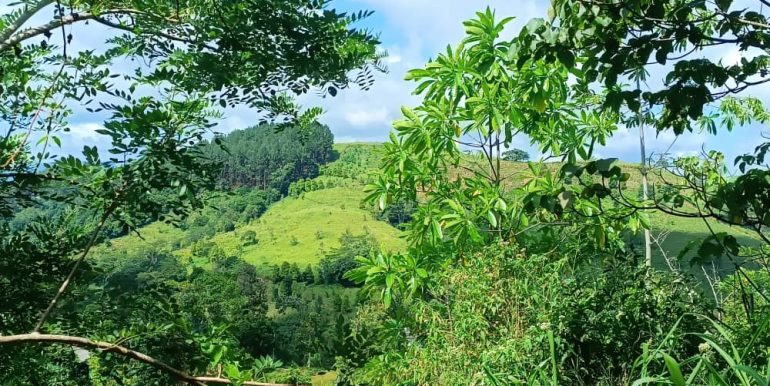 WhatsApp Image 2026-02-15 at 07.41.20