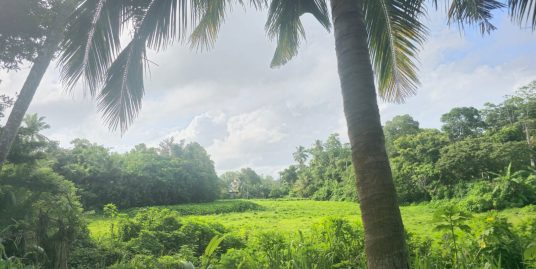 Paddy View Land  in Superb Location
