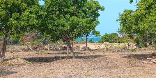 Premium Beach Land in the Best Part of East Coast